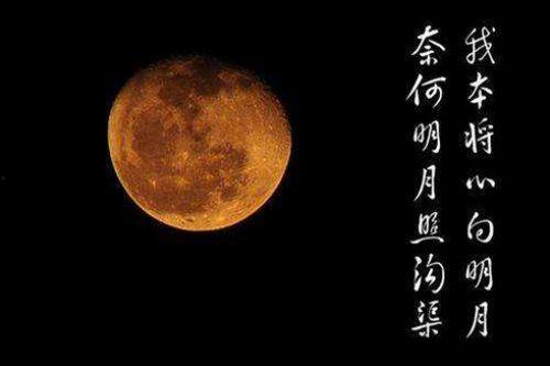 我本将心向明月,步履不停——追寻人生真谛的旅程