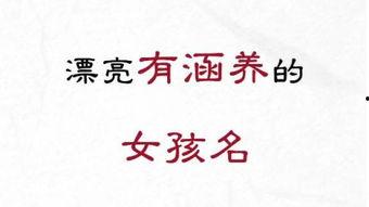 起名风波,一场关于命名权的争议与反思