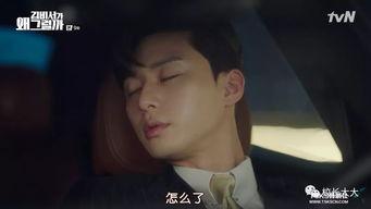 终极欧巴,揭秘现代都市中的魅力传奇