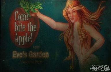 夏娃的秘密,探寻人类起源的神秘面纱