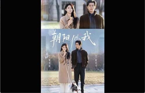 朝阳似我,我们的奋斗岁月