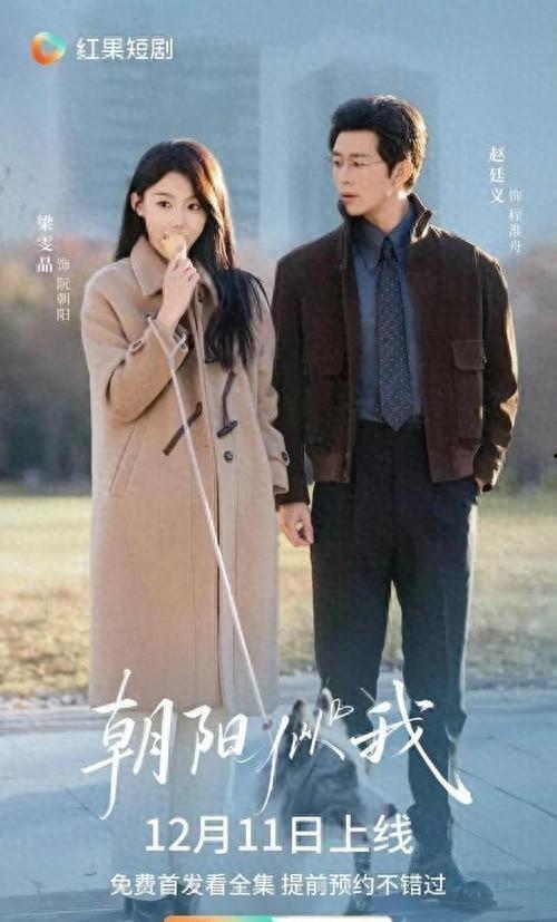 朝阳似我,我们的奋斗岁月