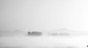 靡靡雾色,探寻朦胧之美