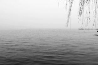 靡靡雾色,探寻朦胧之美