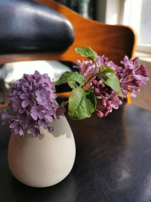 薰香花朵凛然绽放,凛然绽放的薰香花朵之美