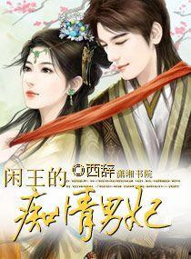 王的男妃,宫廷情缘的传奇篇章