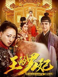 王的男妃,宫廷情缘的传奇篇章
