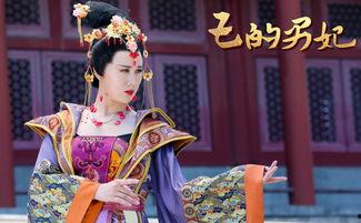 王的男妃,宫廷情缘的传奇篇章