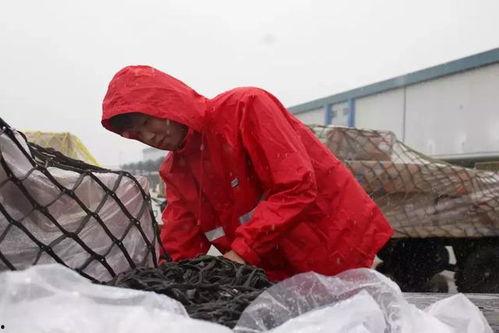 情色货运,暗流涌动的灰色产业链