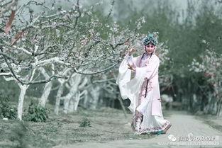 乡村女人花,绽放的坚韧与美丽