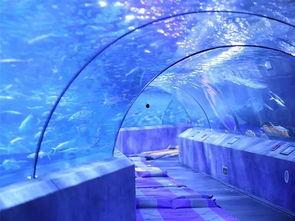 海底大揭秘 第四季,第四季深度揭秘