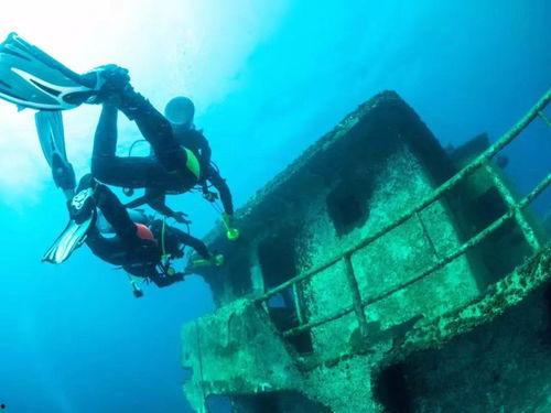 海底大揭秘 第四季,第四季深度揭秘
