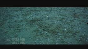 私藏一片坠落的星,私藏碎片中的宇宙秘密